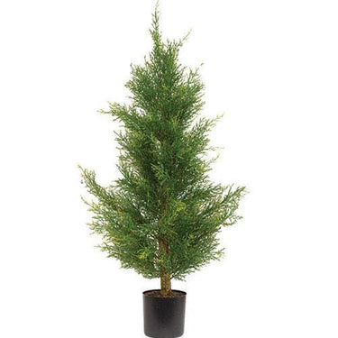 Potted McKinley Cedar Tree, 3ft - The Fox Decor